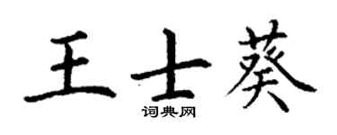 丁谦王士葵楷书个性签名怎么写