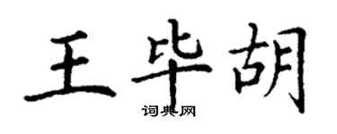 丁谦王毕胡楷书个性签名怎么写