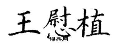 丁谦王慰植楷书个性签名怎么写