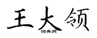 丁谦王大领楷书个性签名怎么写