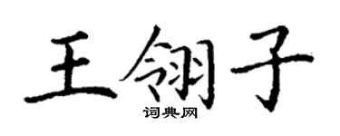 丁谦王翎子楷书个性签名怎么写