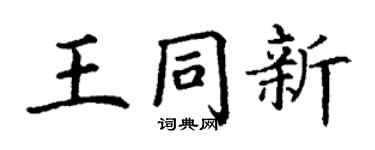 丁谦王同新楷书个性签名怎么写