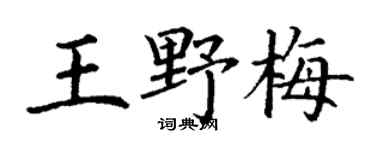 丁谦王野梅楷书个性签名怎么写