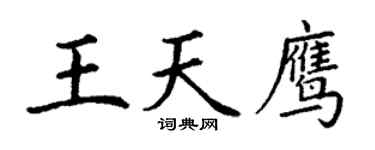 丁谦王天鹰楷书个性签名怎么写