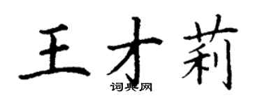丁谦王才莉楷书个性签名怎么写