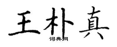 丁谦王朴真楷书个性签名怎么写