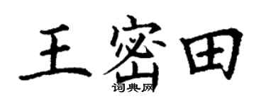 丁谦王密田楷书个性签名怎么写