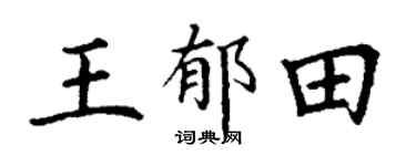 丁谦王郁田楷书个性签名怎么写