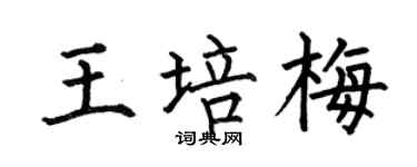 何伯昌王培梅楷书个性签名怎么写