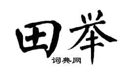 翁闿运田举楷书个性签名怎么写