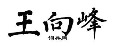 翁闿运王向峰楷书个性签名怎么写