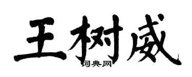 翁闿运王树威楷书个性签名怎么写