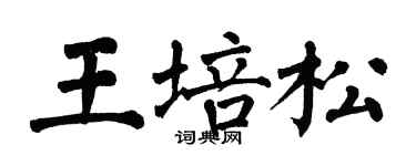 翁闿运王培松楷书个性签名怎么写