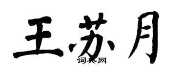 翁闿运王苏月楷书个性签名怎么写