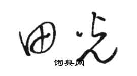 骆恒光田光草书个性签名怎么写