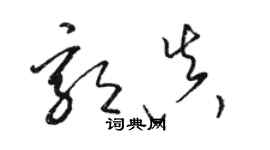 骆恒光郭真草书个性签名怎么写