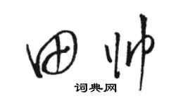 骆恒光田帅草书个性签名怎么写