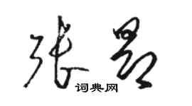骆恒光张昂草书个性签名怎么写