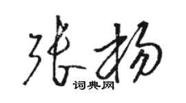 骆恒光张杨草书个性签名怎么写