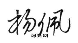 骆恒光杨佩草书个性签名怎么写