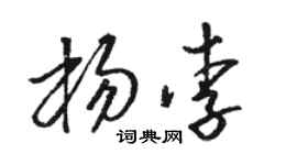 骆恒光杨李草书个性签名怎么写