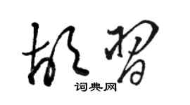 骆恒光胡习草书个性签名怎么写