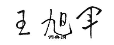 骆恒光王旭军草书个性签名怎么写