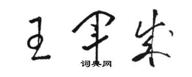 骆恒光王军成草书个性签名怎么写