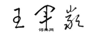 骆恒光王军严草书个性签名怎么写