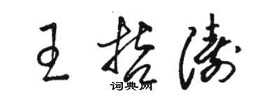 骆恒光王哲涛草书个性签名怎么写