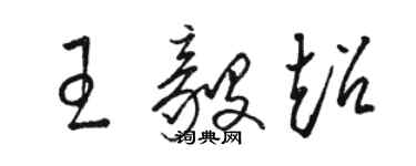骆恒光王毅超草书个性签名怎么写