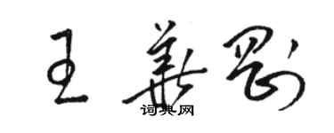 骆恒光王华刚草书个性签名怎么写