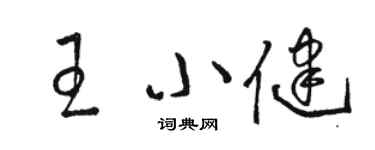 骆恒光王小健草书个性签名怎么写