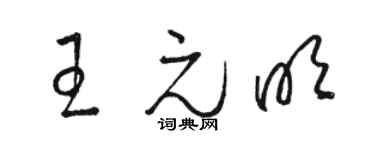 骆恒光王元明草书个性签名怎么写