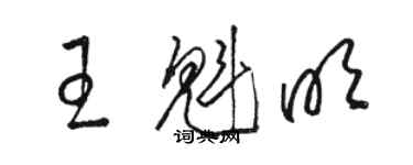 骆恒光王魁明草书个性签名怎么写