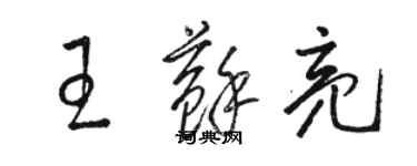 骆恒光王苏亮草书个性签名怎么写