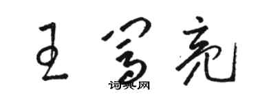 骆恒光王闯亮草书个性签名怎么写
