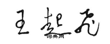 骆恒光王起飞草书个性签名怎么写