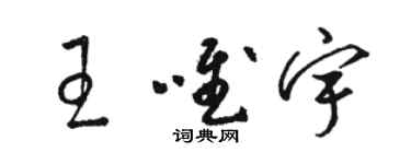 骆恒光王唯宇草书个性签名怎么写