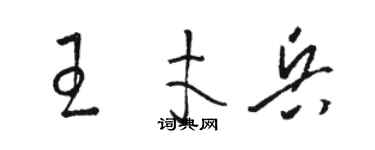 骆恒光王才兵草书个性签名怎么写