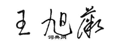 骆恒光王旭薇草书个性签名怎么写