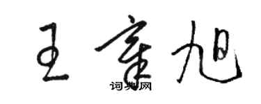 骆恒光王章旭草书个性签名怎么写