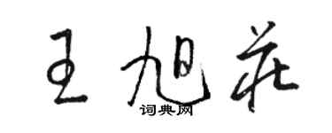 骆恒光王旭庄草书个性签名怎么写