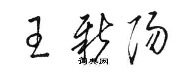 骆恒光王新阳草书个性签名怎么写