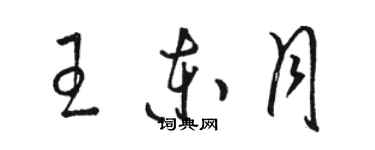 骆恒光王东月草书个性签名怎么写