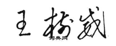 骆恒光王树威草书个性签名怎么写