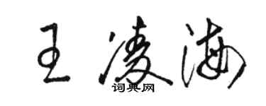 骆恒光王凌海草书个性签名怎么写