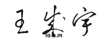 骆恒光王成宇草书个性签名怎么写