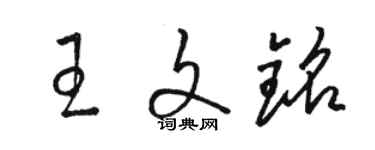 骆恒光王文铭草书个性签名怎么写