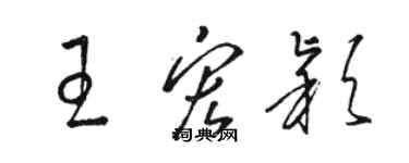 骆恒光王宏颖草书个性签名怎么写